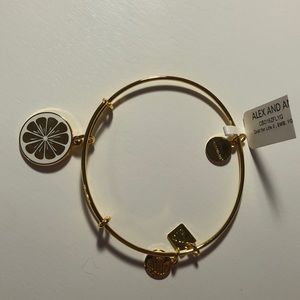 Alex and Ani bracelet